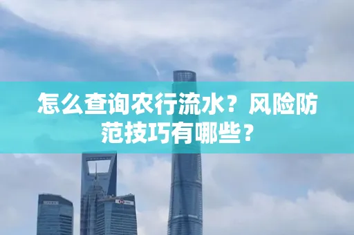 怎么查询农行流水？风险防范技巧有哪些？