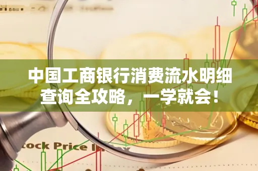 中国工商银行消费流水明细查询全攻略，一学就会！