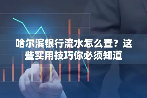 哈尔滨银行流水怎么查？这些实用技巧你必须知道