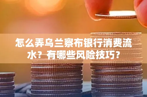 怎么弄乌兰察布银行消费流水？有哪些风险技巧？