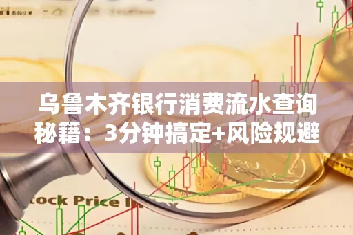 乌鲁木齐银行消费流水查询秘籍：3分钟搞定+风险规避干货