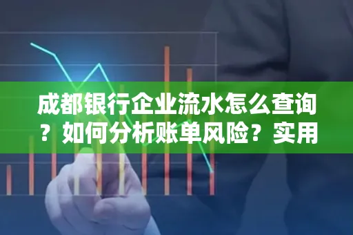 成都银行企业流水怎么查询？如何分析账单风险？实用指南
