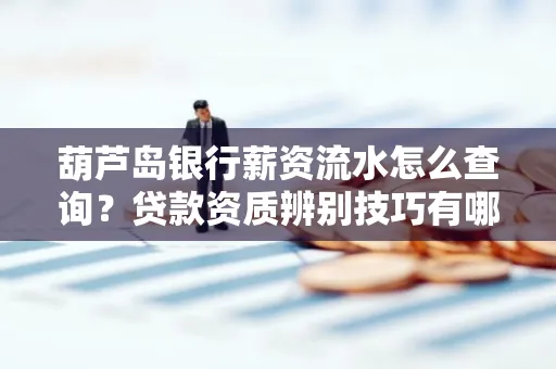 葫芦岛银行薪资流水怎么查询？贷款资质辨别技巧有哪些？