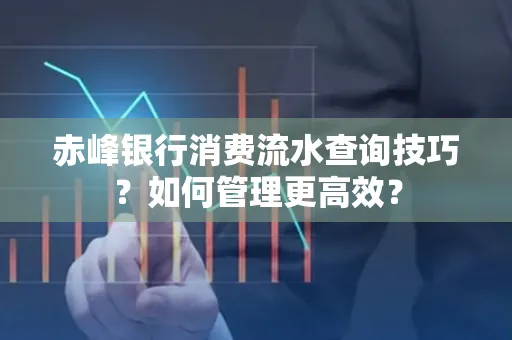赤峰银行消费流水查询技巧？如何管理更高效？