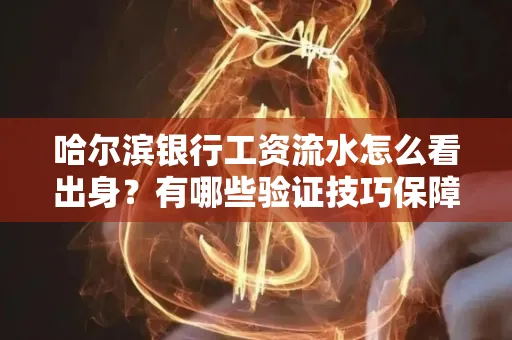 哈尔滨银行工资流水怎么看出身？有哪些验证技巧保障贷款过关？