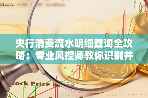 央行消费流水明细查询全攻略：专业风控师教你识别并规避用卡风险！