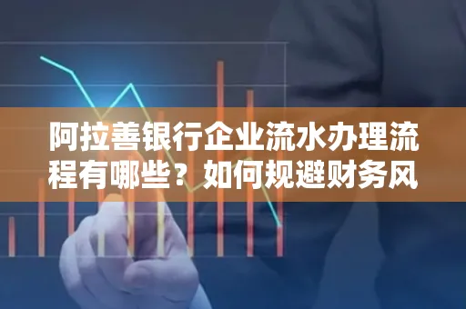 阿拉善银行企业流水办理流程有哪些？如何规避财务风险提升效率？