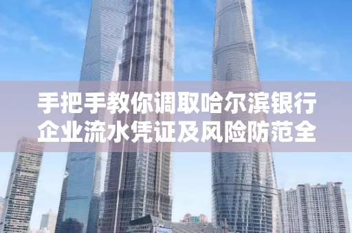 手把手教你调取哈尔滨银行企业流水凭证及风险防范全攻略