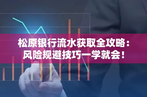 松原银行流水获取全攻略：风险规避技巧一学就会！
