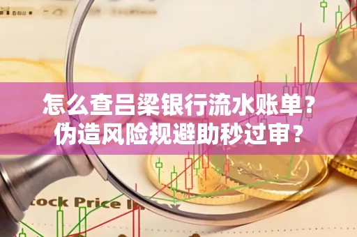 怎么查吕梁银行流水账单？伪造风险规避助秒过审？